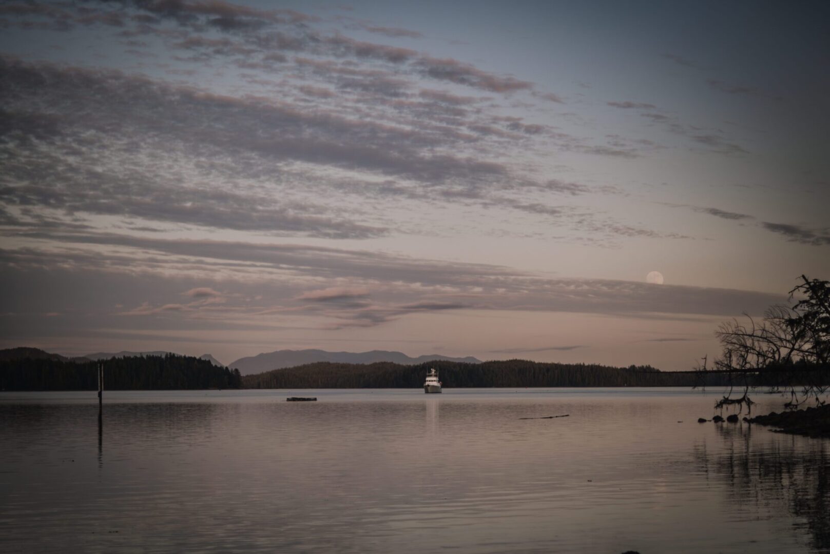 Elope in Tofino