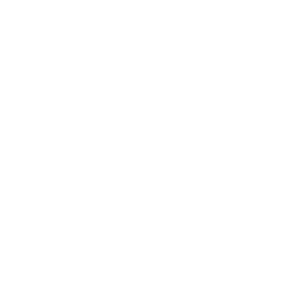 The Shore Pier